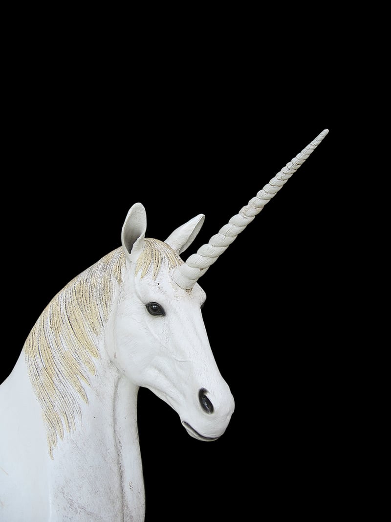 Unicorn Drinks
